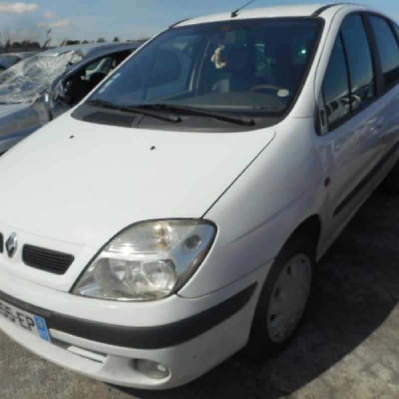 Bouton de coffre RENAULT SCENIC 1 Photo n°4