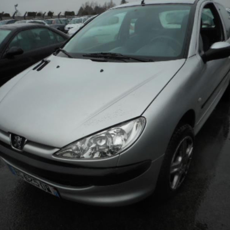 Neiman PEUGEOT 206 Photo n°4