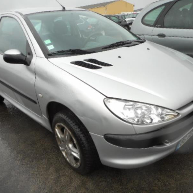 Neiman PEUGEOT 206 Photo n°5