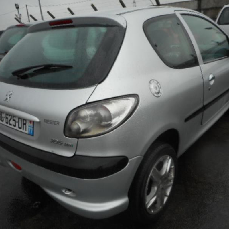 Neiman PEUGEOT 206 Photo n°6