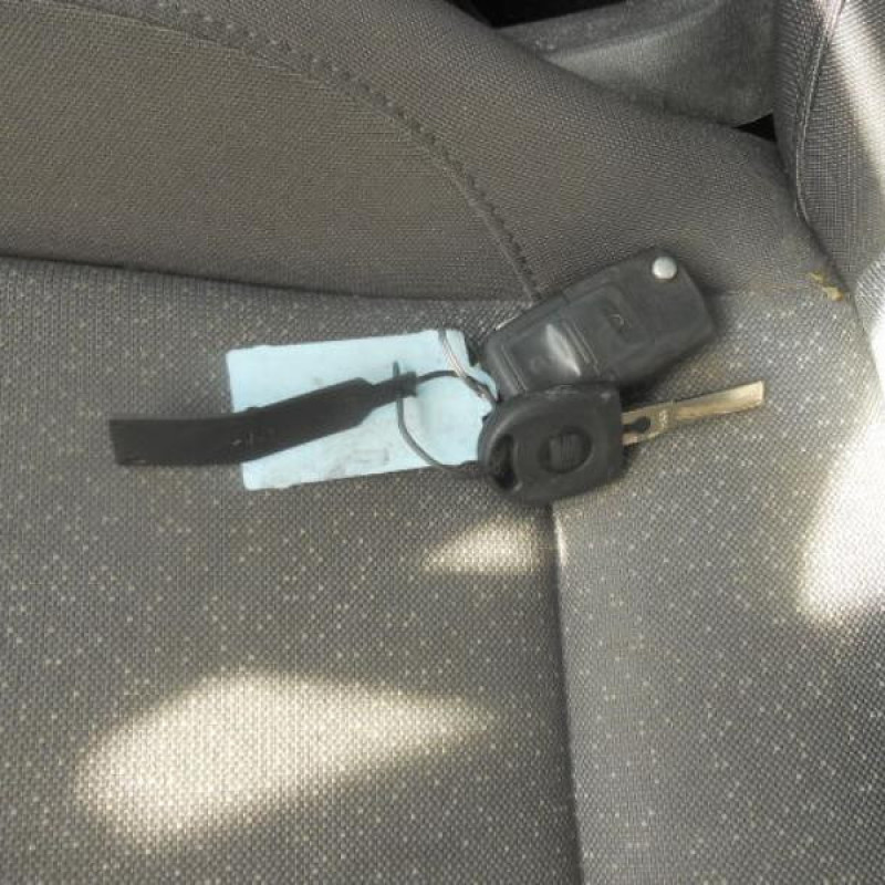 Porte arriere gauche SEAT ALTEA Photo n°9