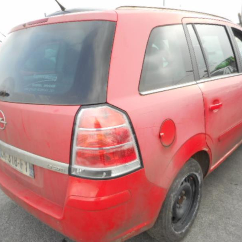 Porte arriere droit OPEL ZAFIRA B Photo n°6