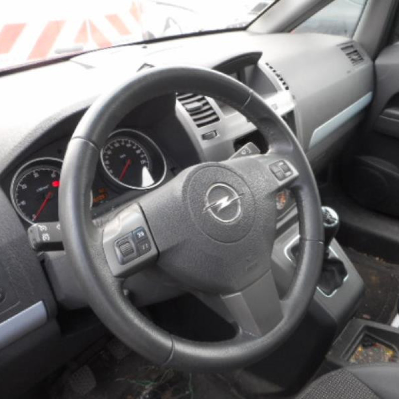 Porte arriere droit OPEL ZAFIRA B Photo n°8
