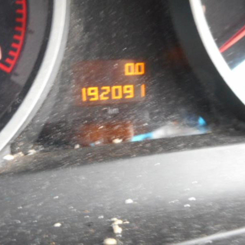 Porte arriere droit OPEL ZAFIRA B Photo n°10