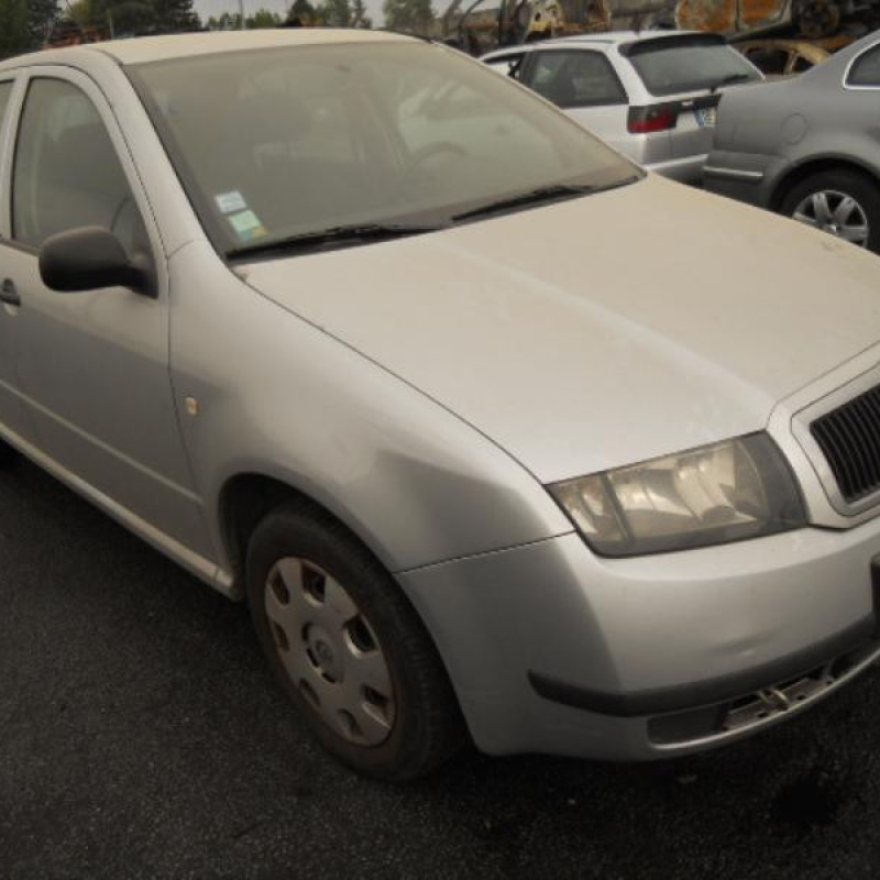 Malle/Hayon arriere SKODA FABIA 1 Photo n°3