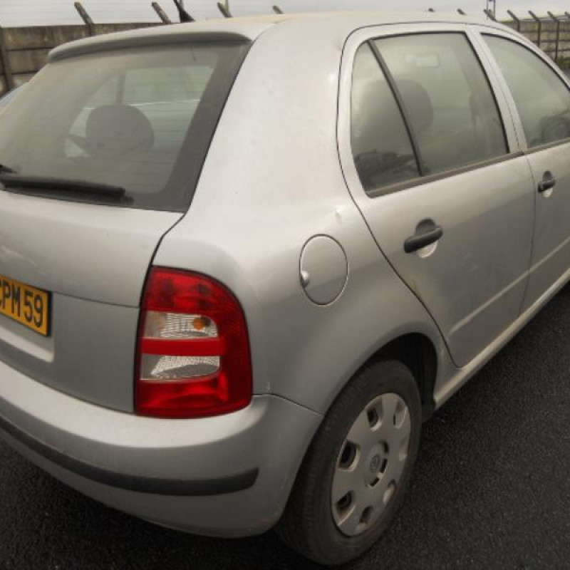 Malle/Hayon arriere SKODA FABIA 1 Photo n°4