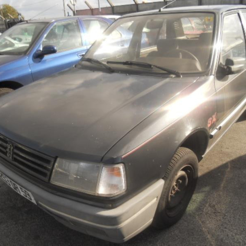 Porte avant droit PEUGEOT 309 Photo n°3