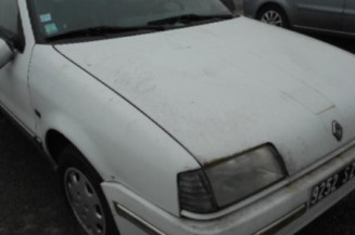 Porte avant droit RENAULT R19