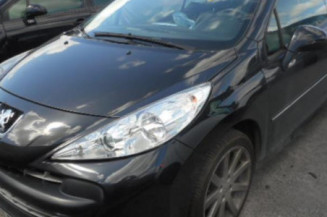Malle/Hayon arriere PEUGEOT 207 Photo n°1