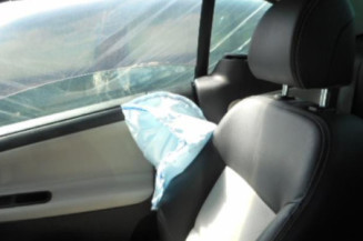 Malle/Hayon arriere PEUGEOT 207