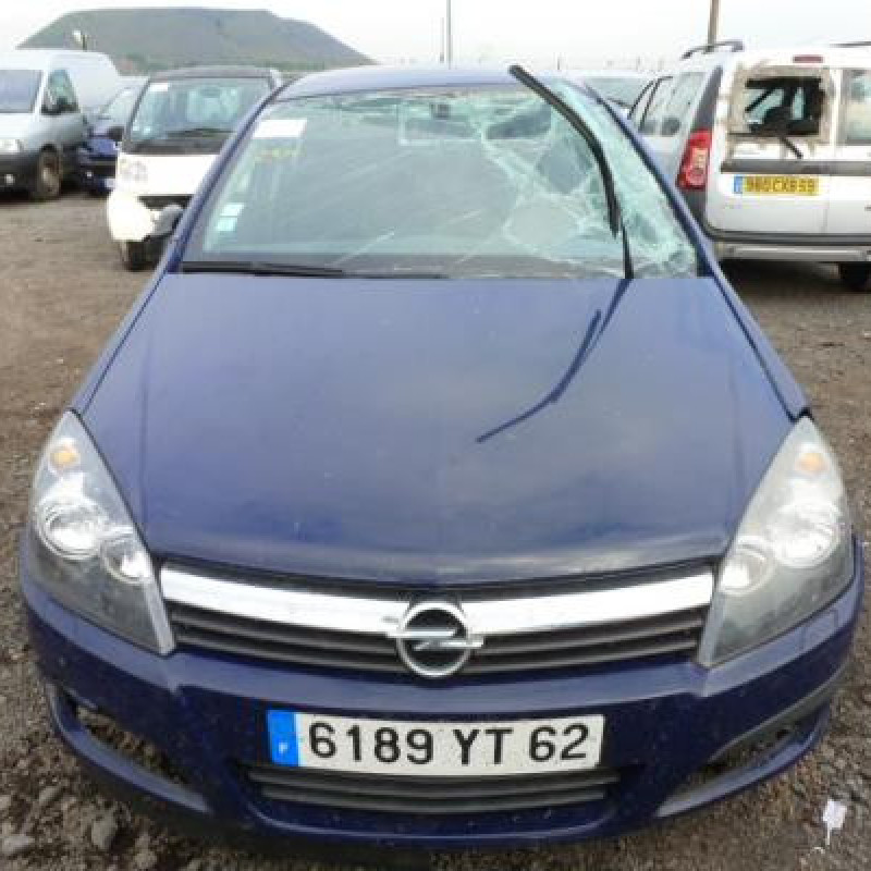 Porte arriere droit OPEL ASTRA H Photo n°3