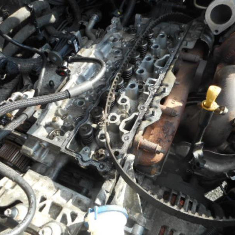 Ceinture arriere gauche FORD FOCUS 3 Photo n°11
