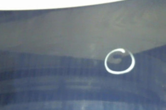 Malle/Hayon arriere VOLKSWAGEN BORA