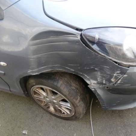 Capot PEUGEOT 1007