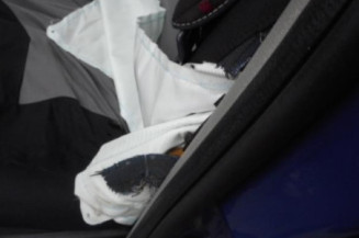 Pulseur d'air RENAULT CLIO 2