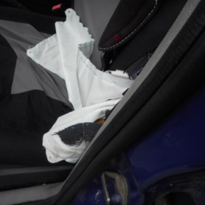 Pulseur d'air RENAULT CLIO 2 Photo n°7