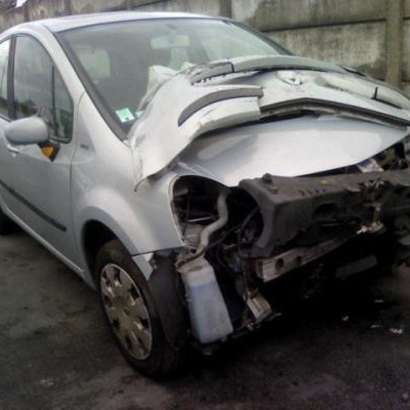 Bouton de warning RENAULT MODUS Photo n°4