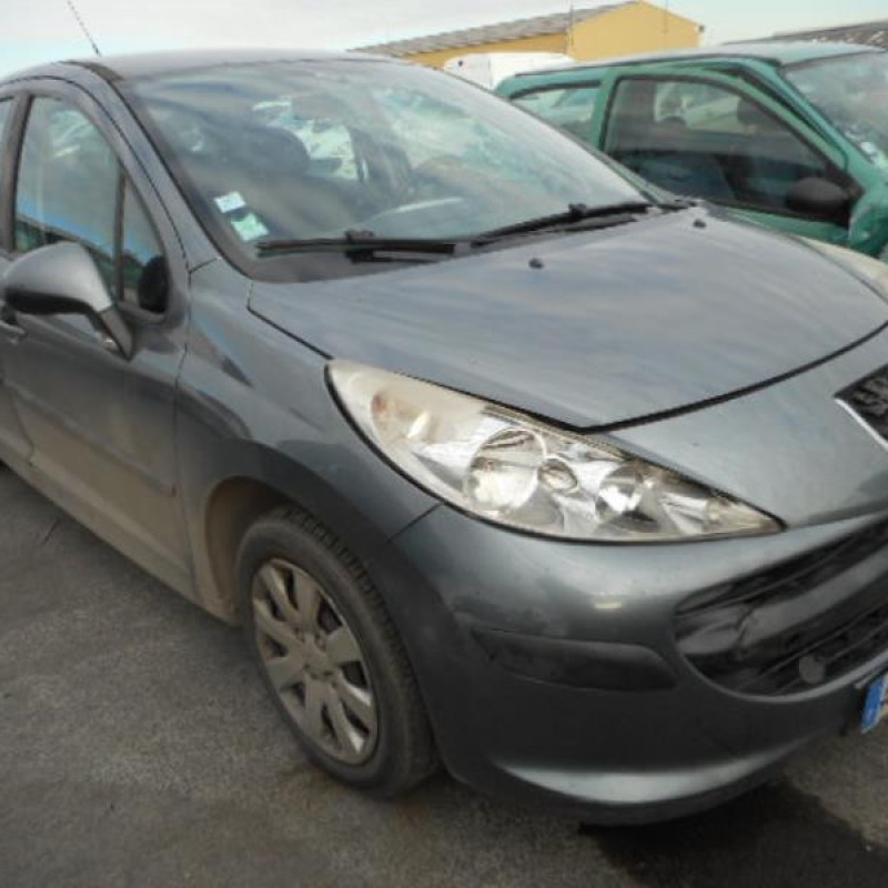 Pulseur d'air PEUGEOT 207 Photo n°5