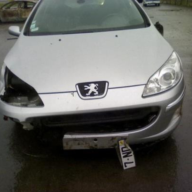 Porte arriere droit PEUGEOT 407 Photo n°3