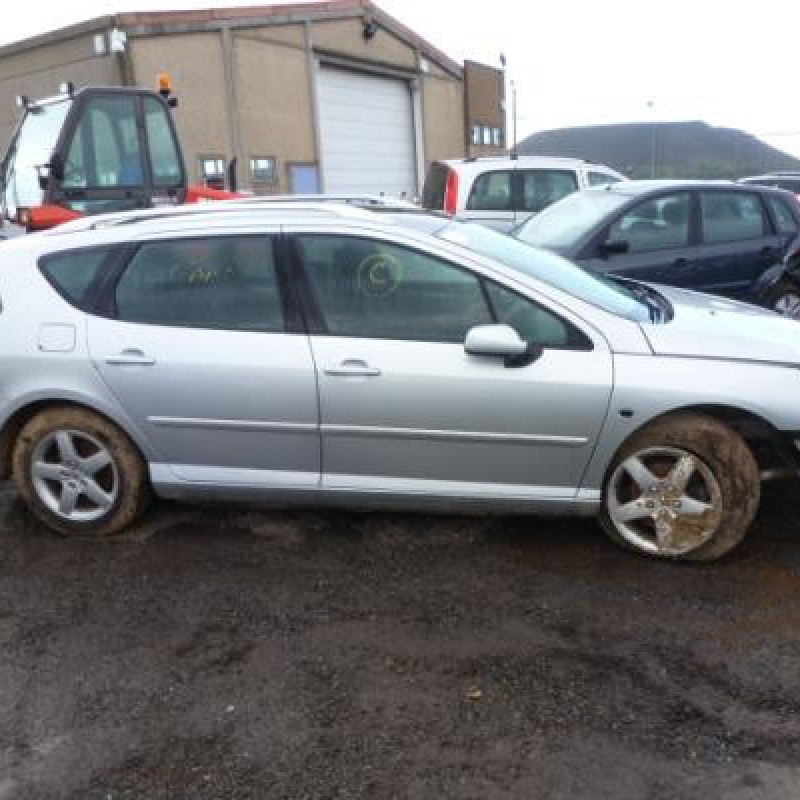 Porte arriere droit PEUGEOT 407 Photo n°7