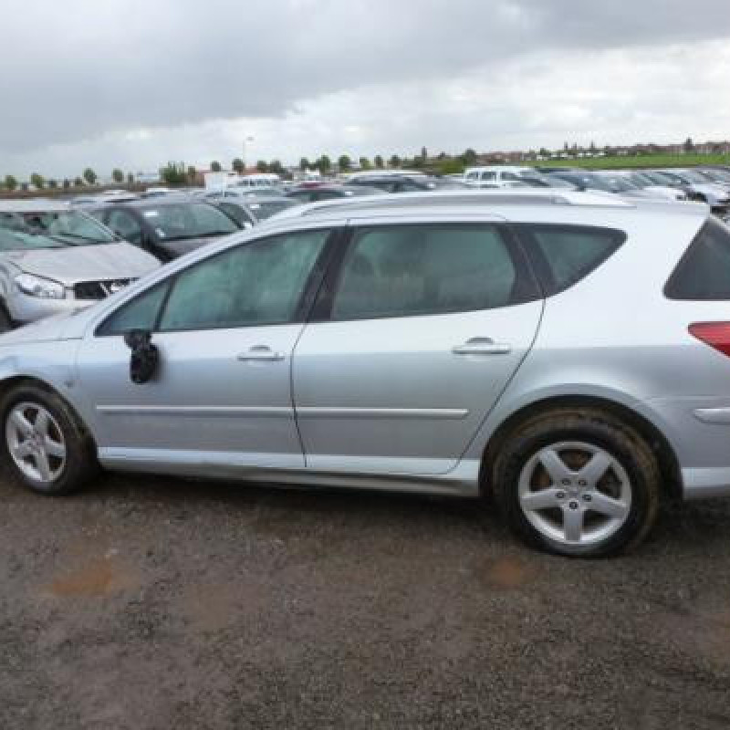 Porte arriere droit PEUGEOT 407 Photo n°9