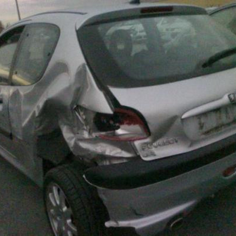 Resistance chauffage PEUGEOT 206 Photo n°5