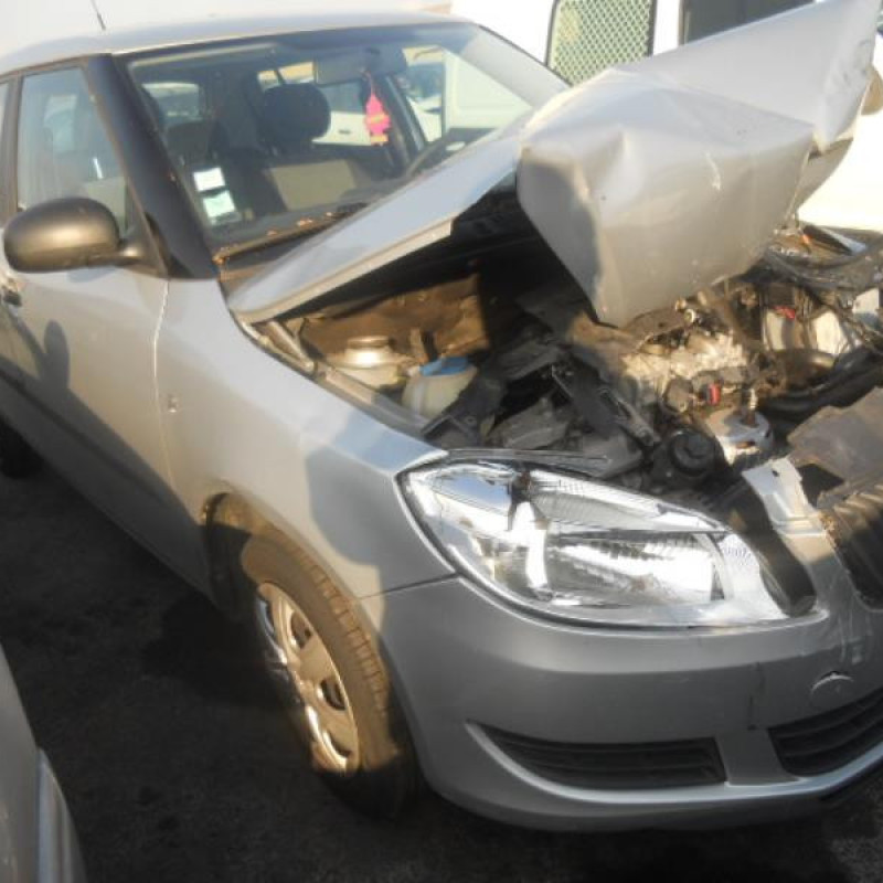 Bouton de warning SKODA FABIA 2 Photo n°5