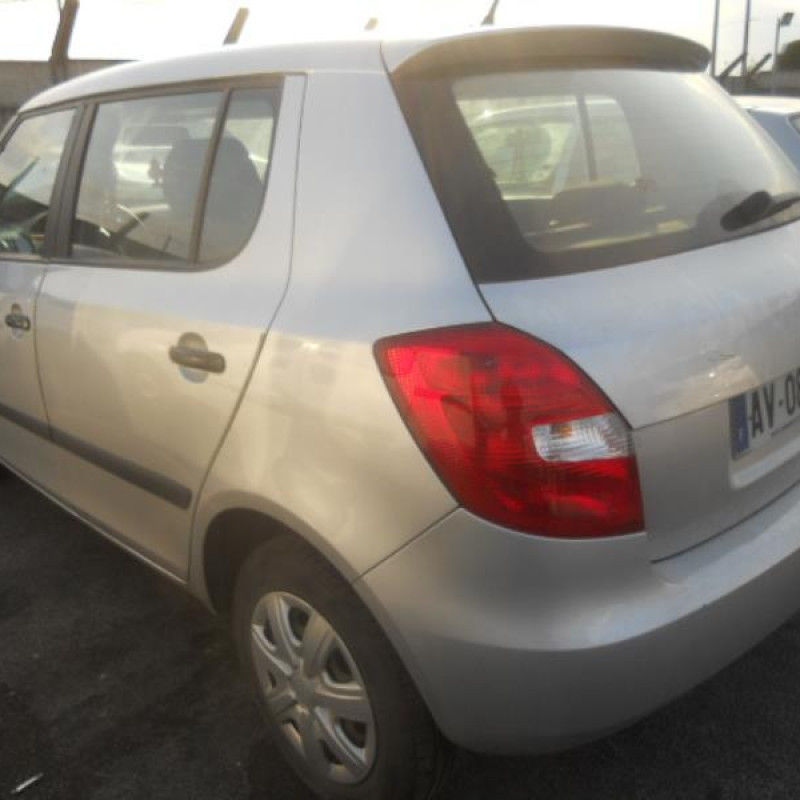 Bouton de warning SKODA FABIA 2 Photo n°7