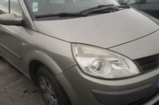 Bouton de warning RENAULT SCENIC 2