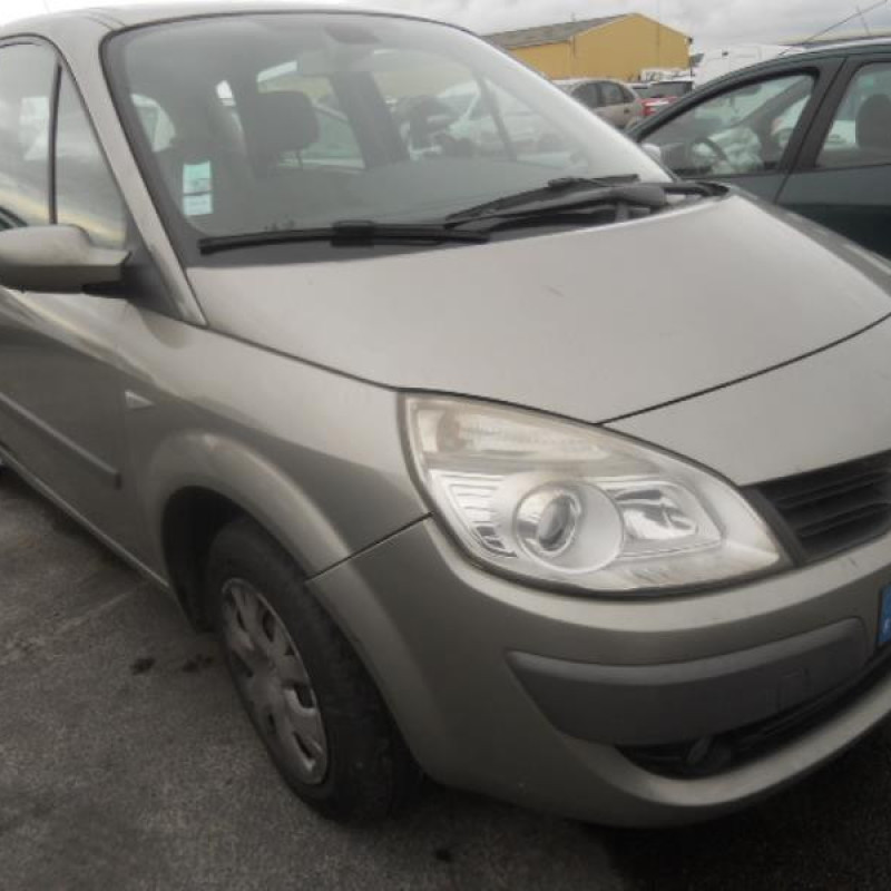 Bouton de warning RENAULT SCENIC 2 Photo n°6