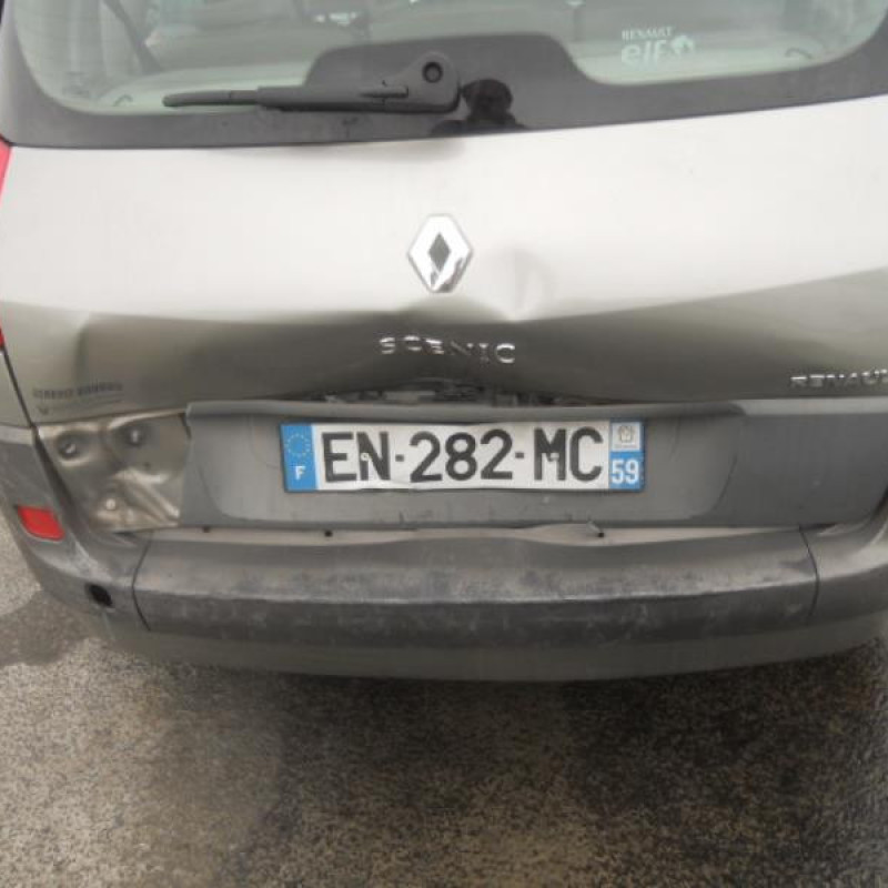 Bouton de warning RENAULT SCENIC 2 Photo n°8