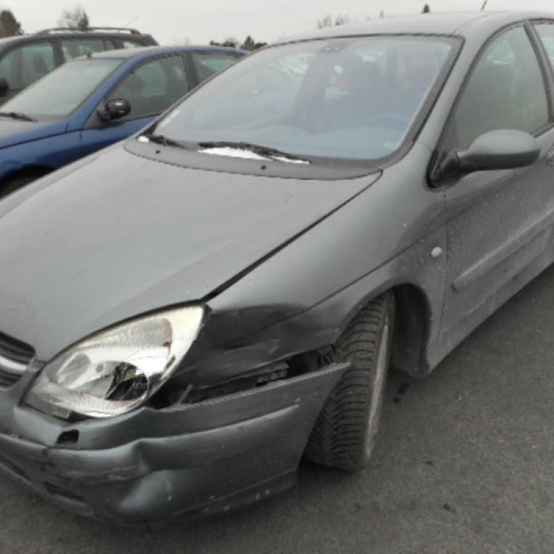 Calandre CITROEN C5 1 Photo n°1