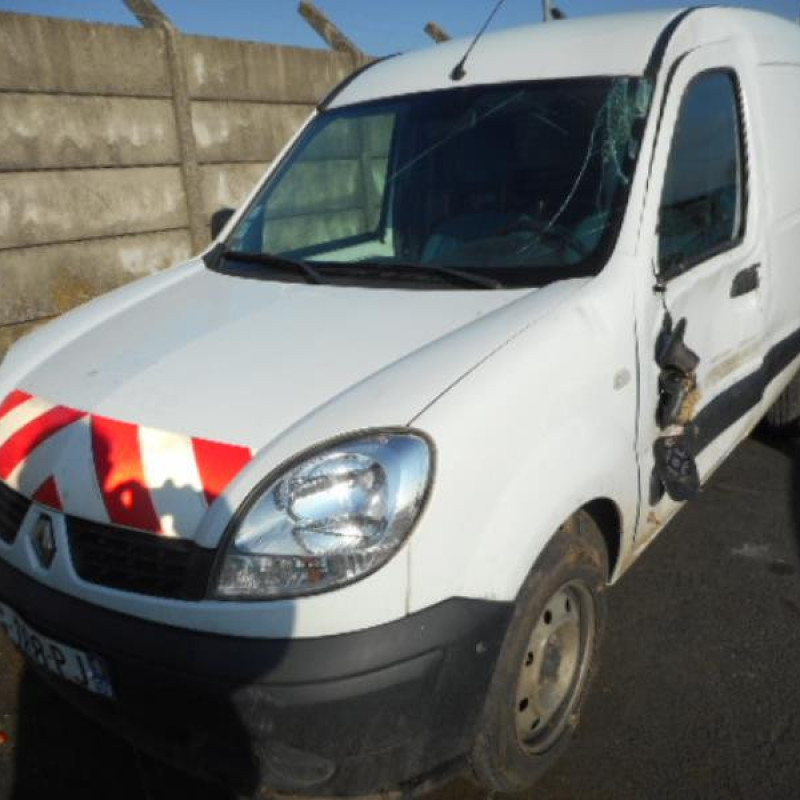 Porte de coffre droit RENAULT KANGOO 1 Photo n°3