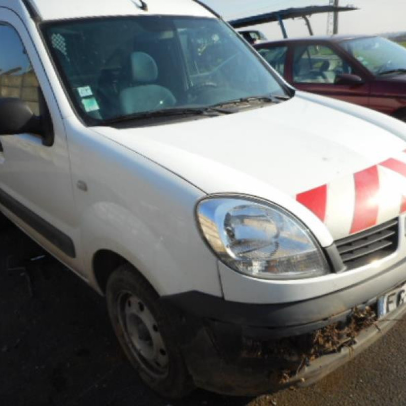 Porte de coffre droit RENAULT KANGOO 1 Photo n°4
