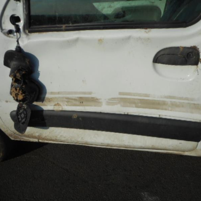 Porte de coffre droit RENAULT KANGOO 1 Photo n°8