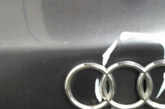 Malle/Hayon arriere AUDI A3 1