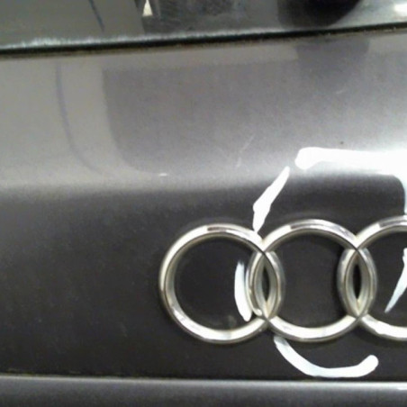 Malle/Hayon arriere AUDI A3 1