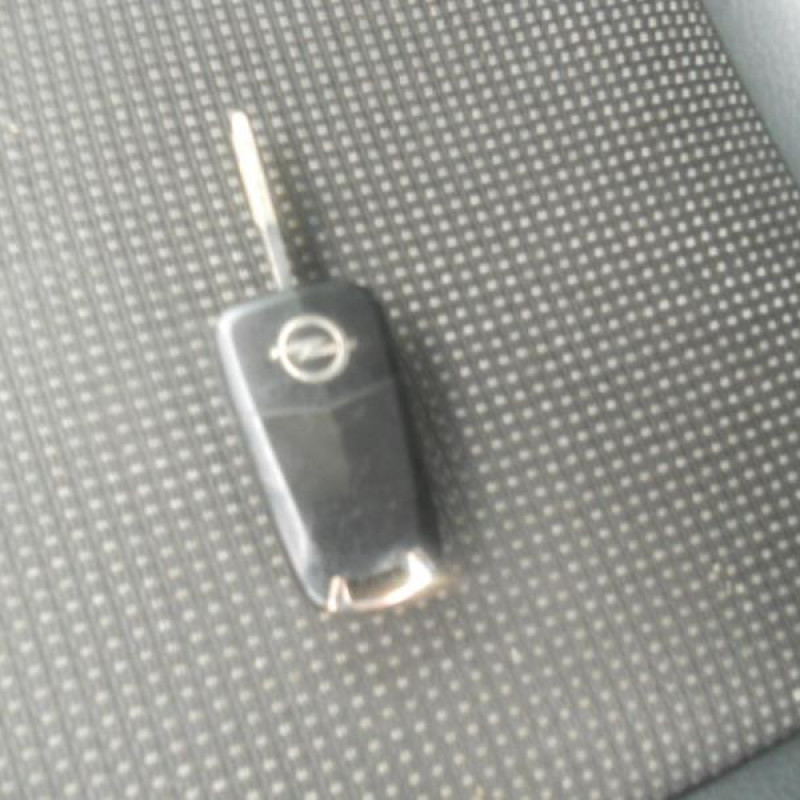Porte arriere droit OPEL ZAFIRA B Photo n°9