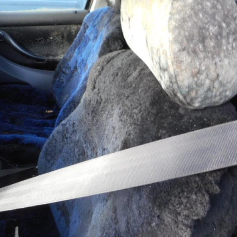Porte avant droit SEAT LEON 1 Photo n°9