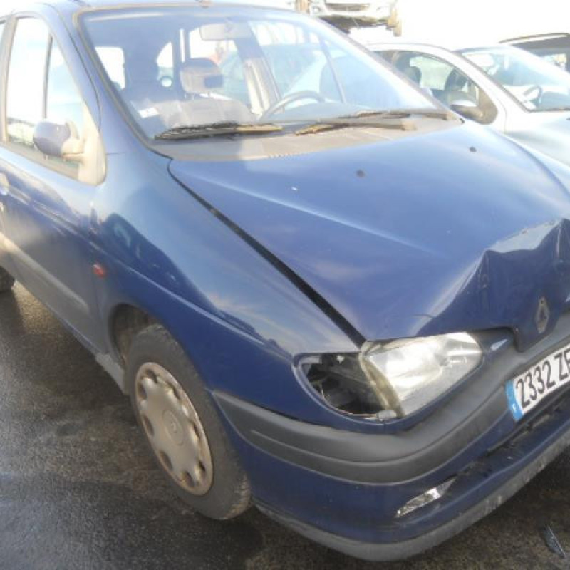 Pulseur d'air RENAULT SCENIC 1 Photo n°5