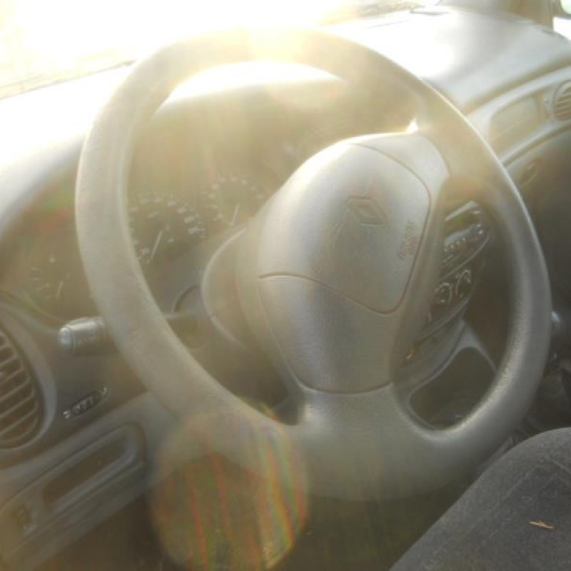 Pulseur d'air RENAULT SCENIC 1 Photo n°9