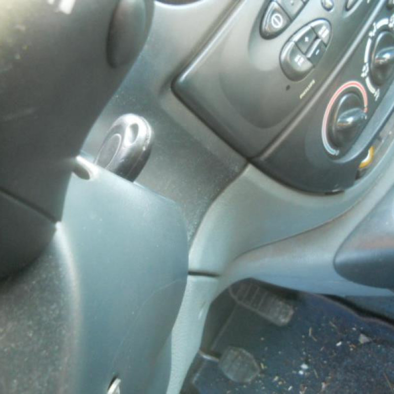 Pulseur d'air RENAULT SCENIC 1 Photo n°11