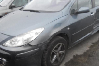 Porte arriere droit PEUGEOT 307