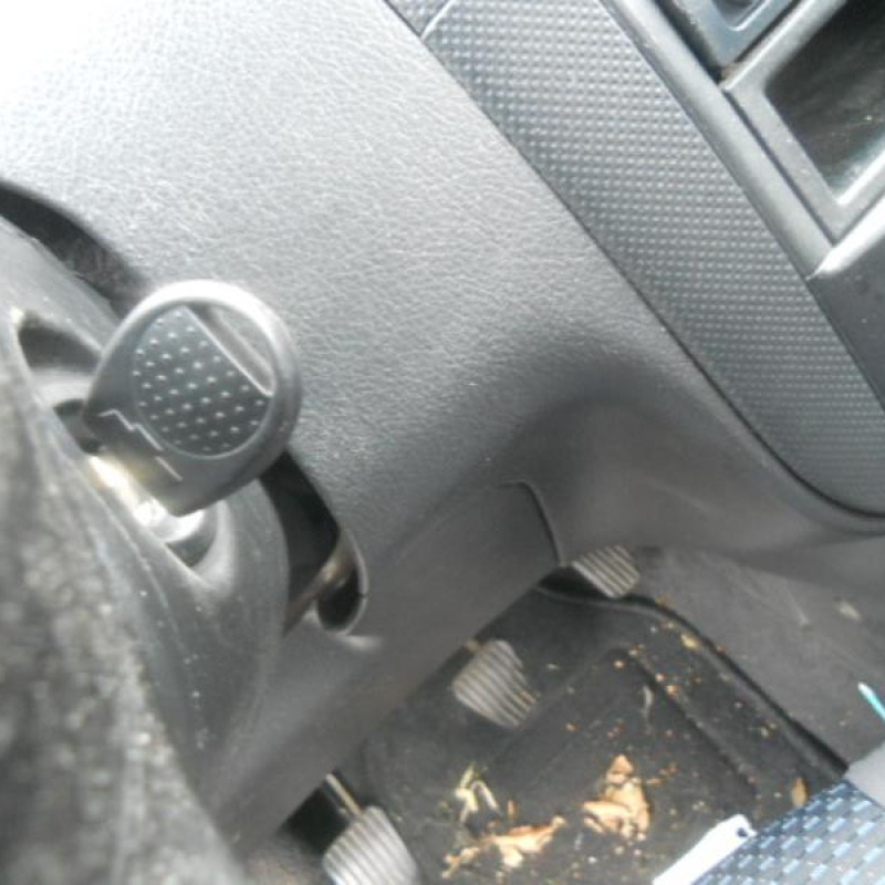 Malle/Hayon arriere CHEVROLET KALOS Photo n°9