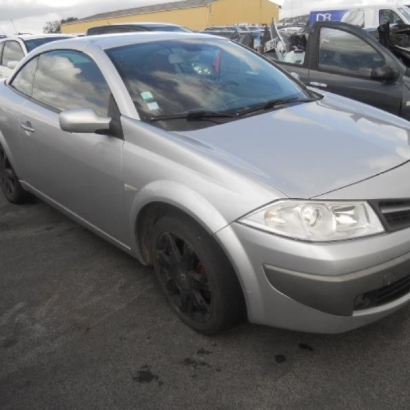 Eclairage de plafonnier RENAULT MEGANE 2 Photo n°4