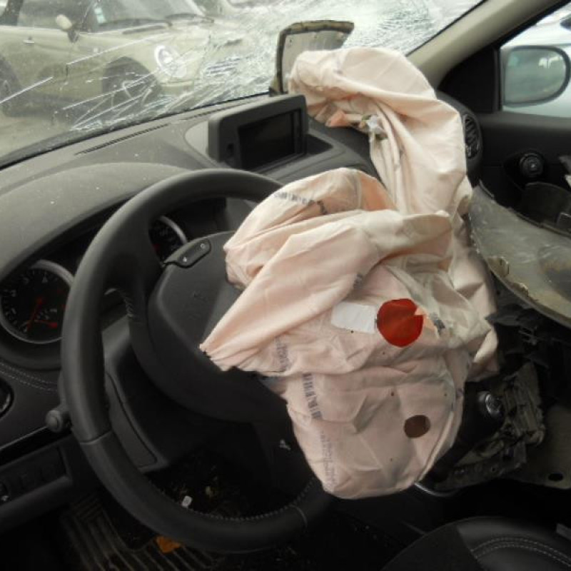 Poignee interieur avant droit RENAULT CLIO 3 Photo n°9