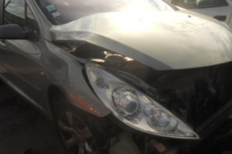 Bouton de warning PEUGEOT 307