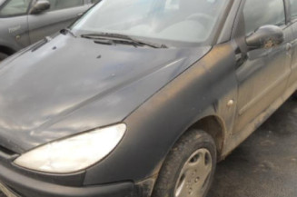 Porte arriere gauche PEUGEOT 206