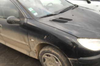 Porte arriere gauche PEUGEOT 206