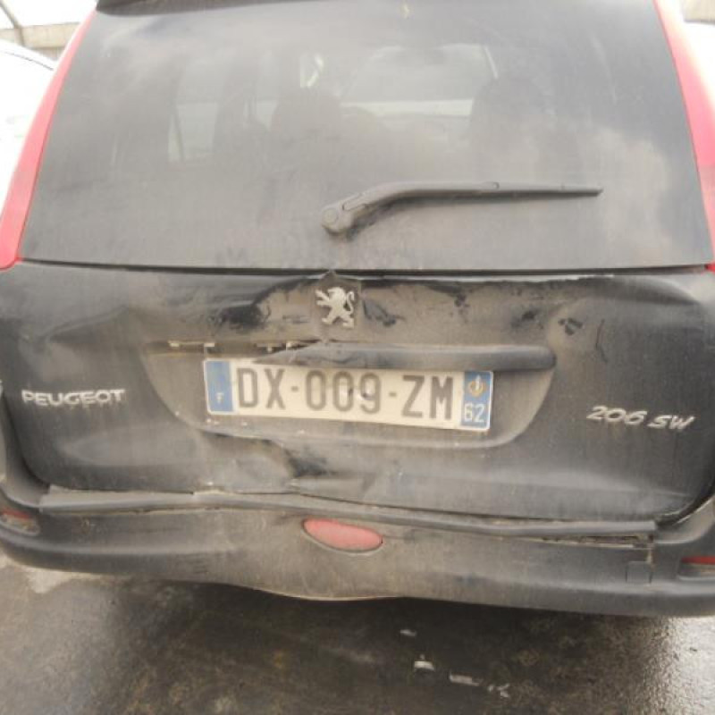 Porte arriere gauche PEUGEOT 206 Photo n°6